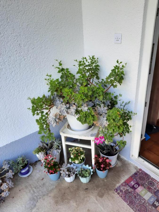 Apartmani Gracela Vodice Zewnętrze zdjęcie